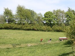 Pretty Holiday Home in Willingen near Forest