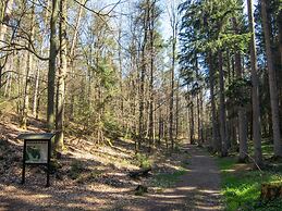Apartment in the Odenwald With Terrace