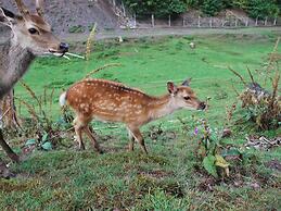 Chic Holiday Home in Liesen With Garden