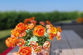 Modern Chalet With a Panoramic View