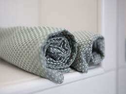 Inviting Villa in Voorthuizen With Garden