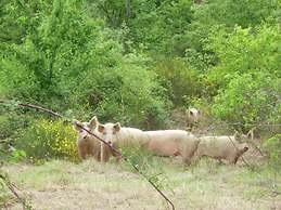 Belvilla by OYO Il Frassino