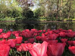 Cosy Apartment in Scheveningen