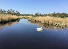 Rustic-chic Villa With Thatched Roof