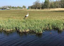 Rustic-chic Villa With Thatched Roof