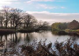 Villa Oesterdam Comfort Extra 8 Persons