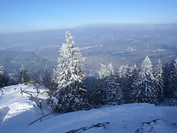 Apartment With Balcony Bavarian Forest