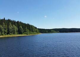 Ferienhaus mit Schwimmbad in Jagersgrun