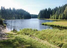 Ferienhaus mit Schwimmbad in Jagersgrun