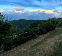 Detached Cottage With Swimming Pool