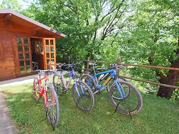 Farmhouse With Swimming Pool in the Marche