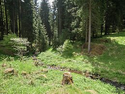 Holiday Home in the Grossbreitenbach