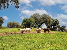 Rustic Alentejo Farmhouse With Pool