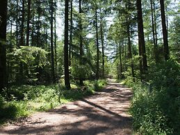 Spacious Cottage With Sauna in Libomont