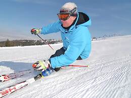 Apartment in Wernberg in Carinthia With Pool