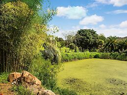 Farmhouse in Montemor-o-novo With Pool