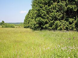 Chalet With Private Garden in Waimes