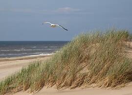 Apartment in Noordwijk Near Beach