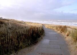 Apartment in Noordwijk Near Beach