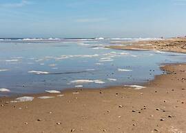Apartment in Noordwijk Near Beach