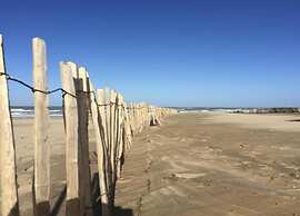 Apartment in Noordwijk Near Beach
