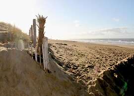 Apartment in Noordwijk Near Beach
