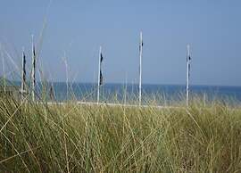 Apartment in Noordwijk Near Beach