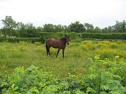 Gorgeous Holiday Home in Ovifat With Sauna