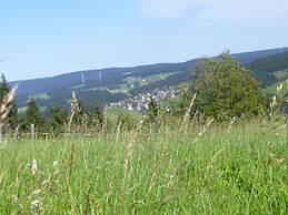 Lush Apartment in Furtwangen near Black Forest with Balcony
