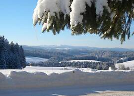 Lush Apartment in Furtwangen near Black Forest with Balcony