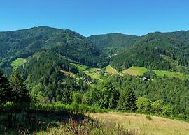 Lush Apartment in Furtwangen near Black Forest with Balcony