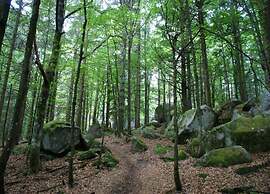 Lush Apartment in Furtwangen near Black Forest with Balcony