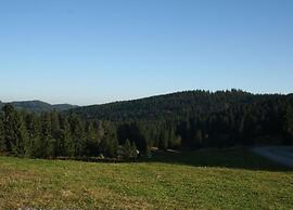 Lush Apartment in Furtwangen near Black Forest with Balcony
