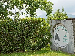 Unique Holiday Experience in Greenery near Lake