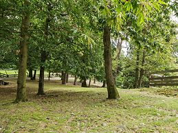 Unique Holiday Experience in Greenery near Lake