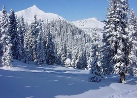 Cozy Holiday Home In Brilon near Ski Slopes
