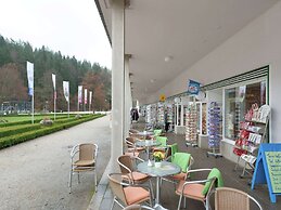 Apartment With Terrace in Saxony