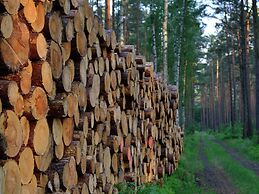 Forest Getaway in Berlin