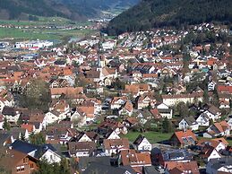Cheerful Apartment near Historic City Center of Haslach