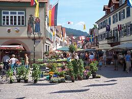 Cheerful Apartment near Historic City Center of Haslach