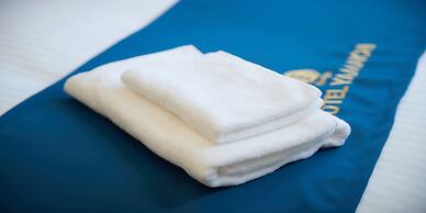 Enagic Hotel Yamaichi