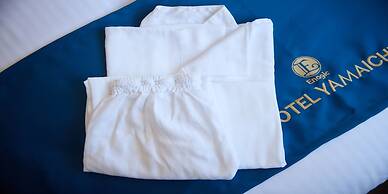 Enagic Hotel Yamaichi