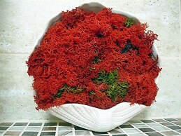 Apartament Black Sea