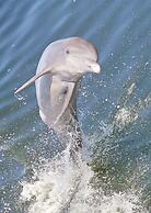 The Suites at Fishermen’s Village- 2 Bedroom Suites