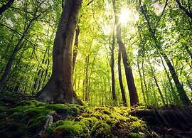 Apartment Near the ski Area in Diemelsee