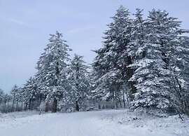 Apartment Near the ski Area in Diemelsee