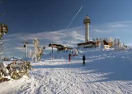 Apartment Near the ski Area in Diemelsee
