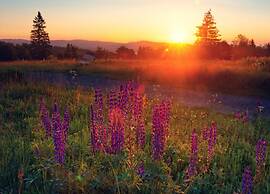 Apartment Near the ski Area in Diemelsee