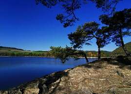 Apartment Near the ski Area in Diemelsee