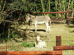 Charming Apartment in Sensenruth with Hot Tub